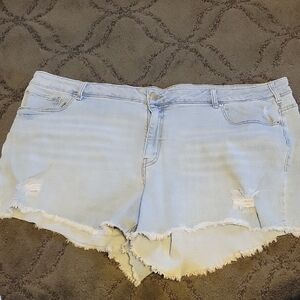 Lane Bryant Light Blue Distressed Denim Shorts